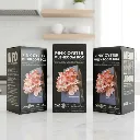 Pink Oyster 4.webp