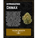 Chimax 2.jpg